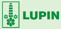 Lupin